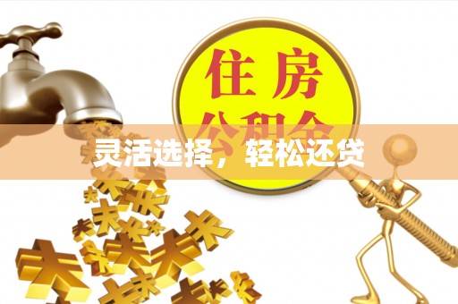 清水灵活选择，轻松还贷