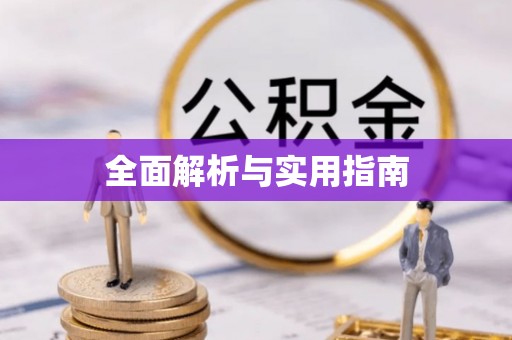 清水全面解析与实用指南