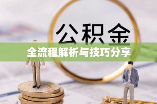 清水全流程解析与技巧分享